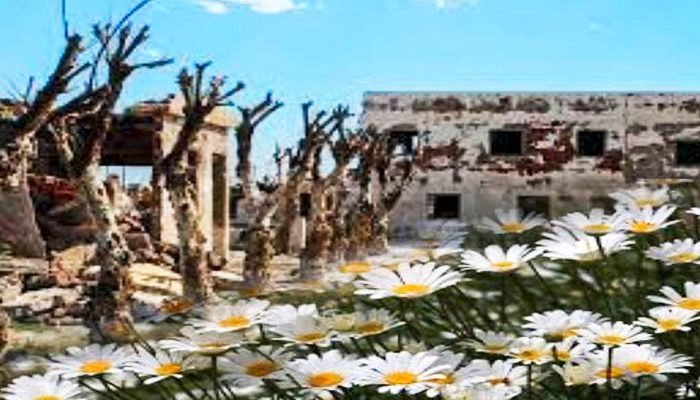 Las Flores Blancas