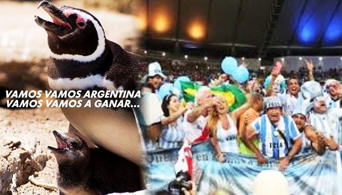 “Vamos, Vamos… Argentina”