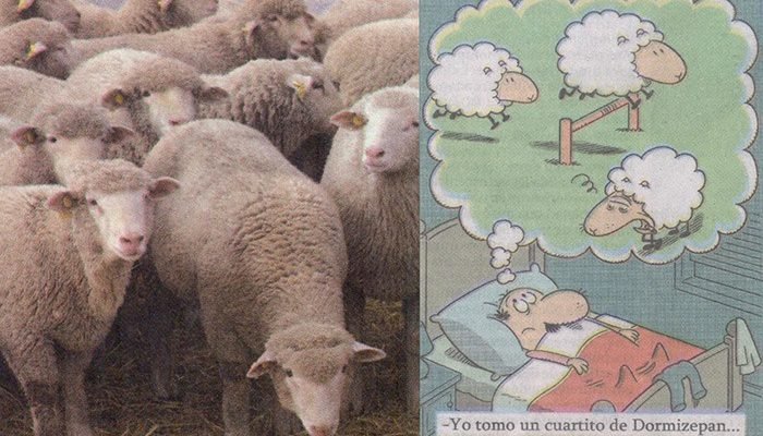 Contar Ovejas