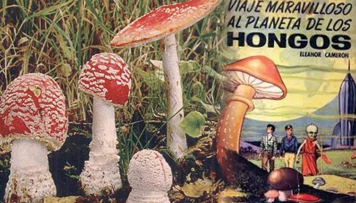 Hongos Alucinantes