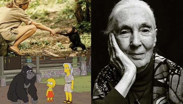 El Legado Eterno de Jane Goodall