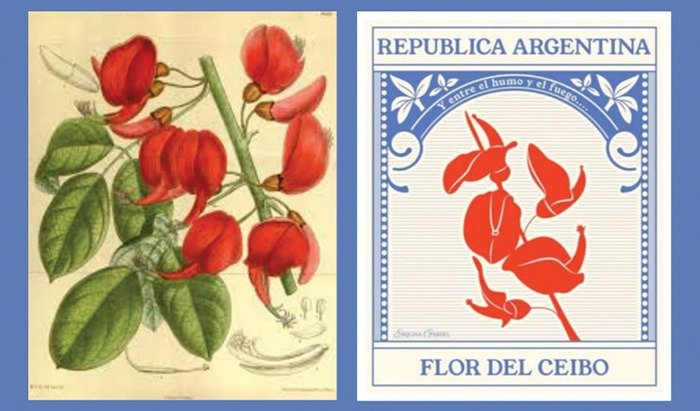 La Flor de Ceibo