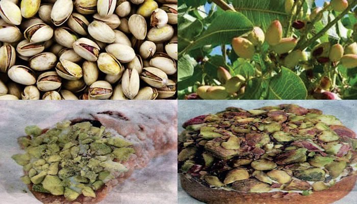 Pistacho