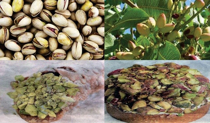 Pistacho
